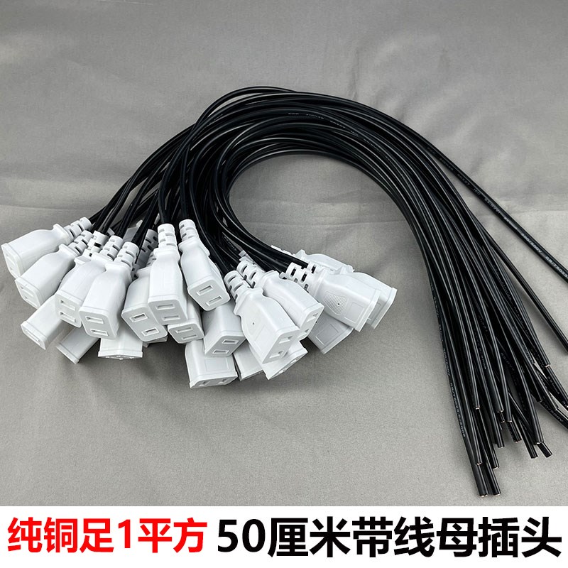 1平方纯铜芯50厘米带线母插加厚两孔母插头220V母插座防水盒专用