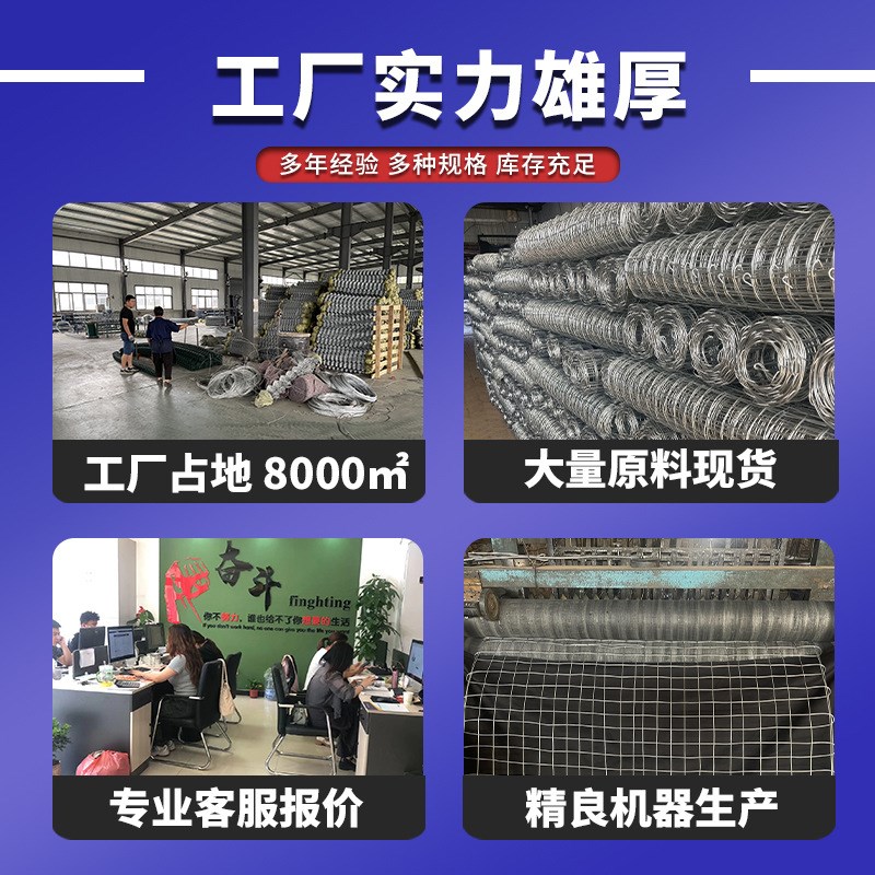 热镀锌铁丝菱形装饰编织方格动物园鸟语林防护安全勾花围栏网