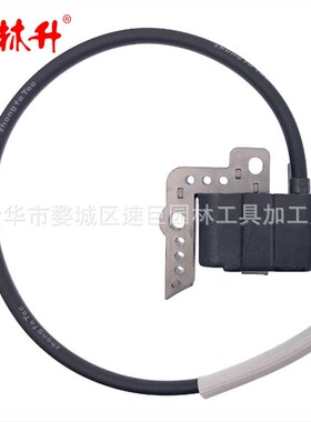 林升高压包A415000001 PB-650,PB-755SH,PB-651,PB-750,EB6300RT