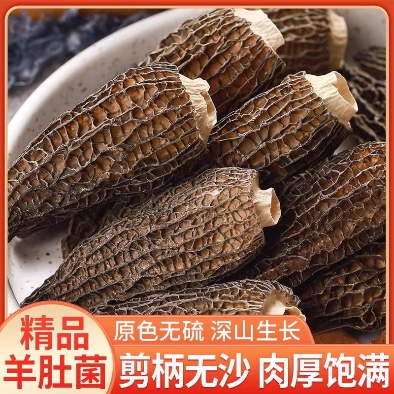 羊肚菌鲜牛肚菌菇香菇干货羊肚菇