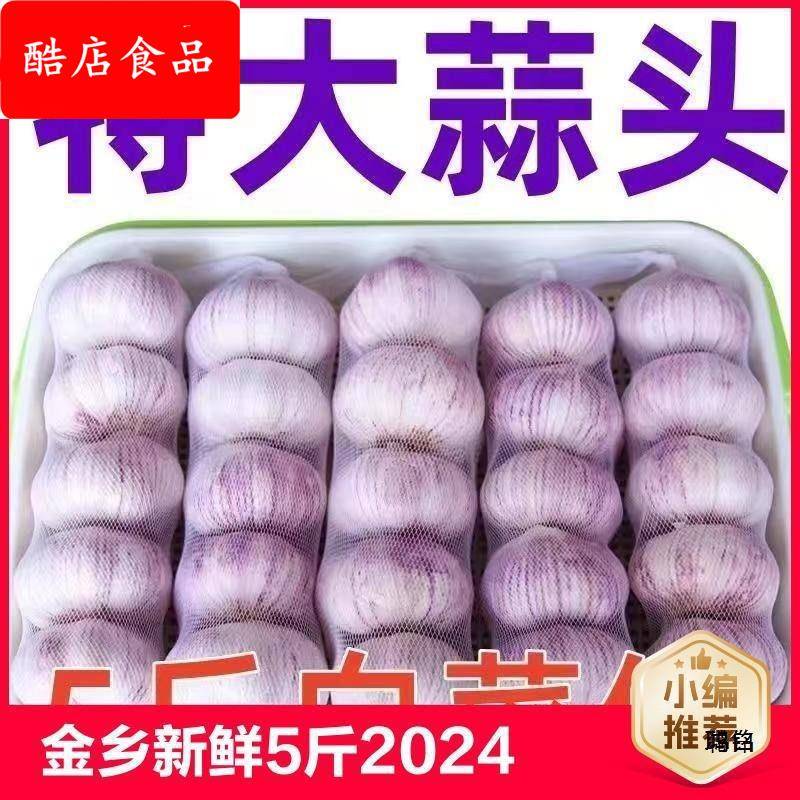 金乡大蒜 新鲜干大蒜头5斤装蒜籽2024当季蔬菜紫皮大10斤散装