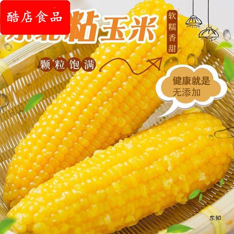东北黄糯玉棒真空包装白糯玉米早餐代餐即食粘玉米熟黏玉米
