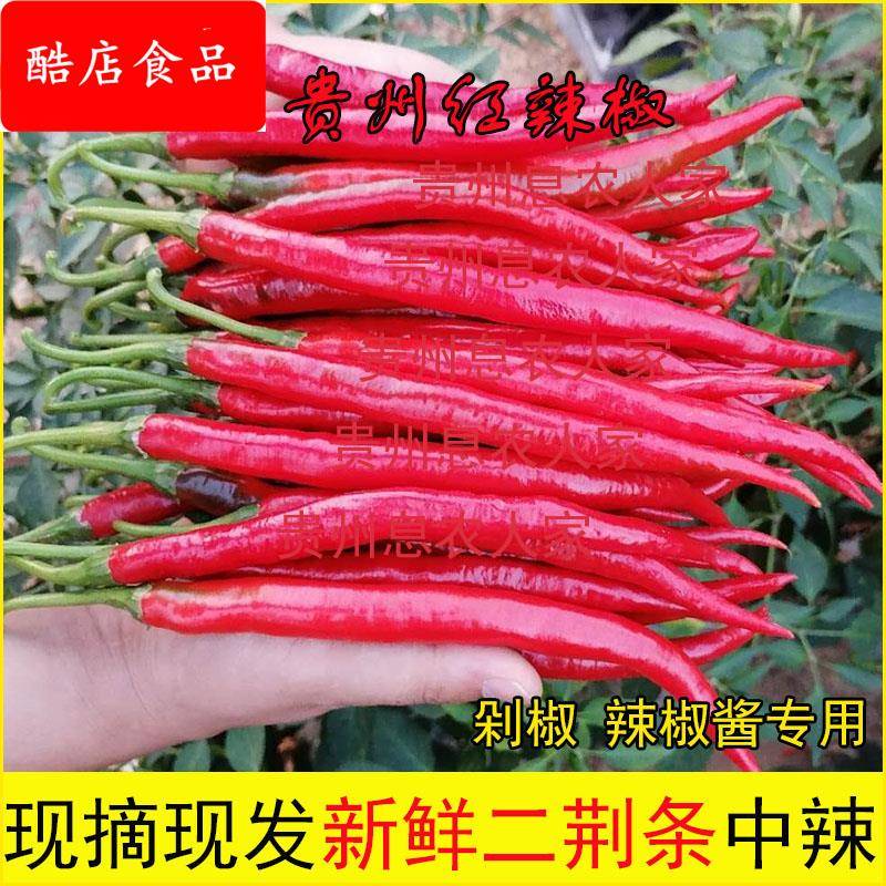 贵州新鲜红线椒鲜红辣椒二荆条红海椒农家自种新鲜蔬菜长红椒现摘