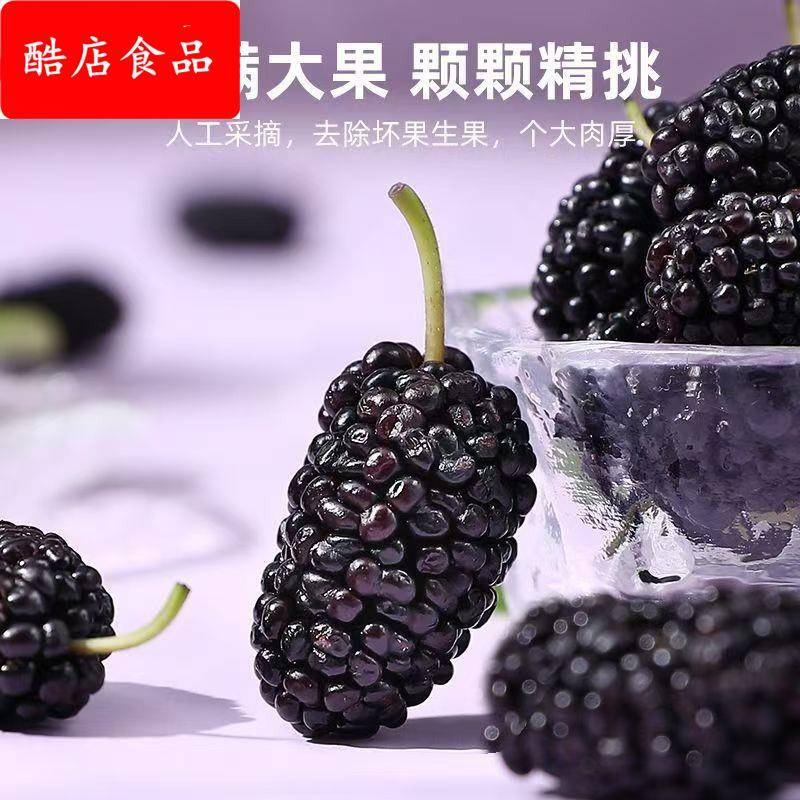 新疆头茬新鲜大果黑桑葚干泡茶泡酒桑椹黑桑葚源头直供包邮