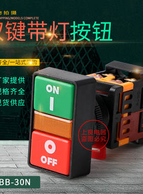 PPBB-30N双位双键带灯按钮电源开关带灯自复位30mm