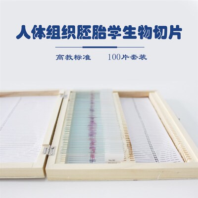 100片人体正常组织胚胎学生物切片木盒装HE染色高教教学演示玻片
