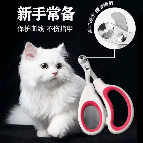 猫咪指甲剪小盲剪猫剪