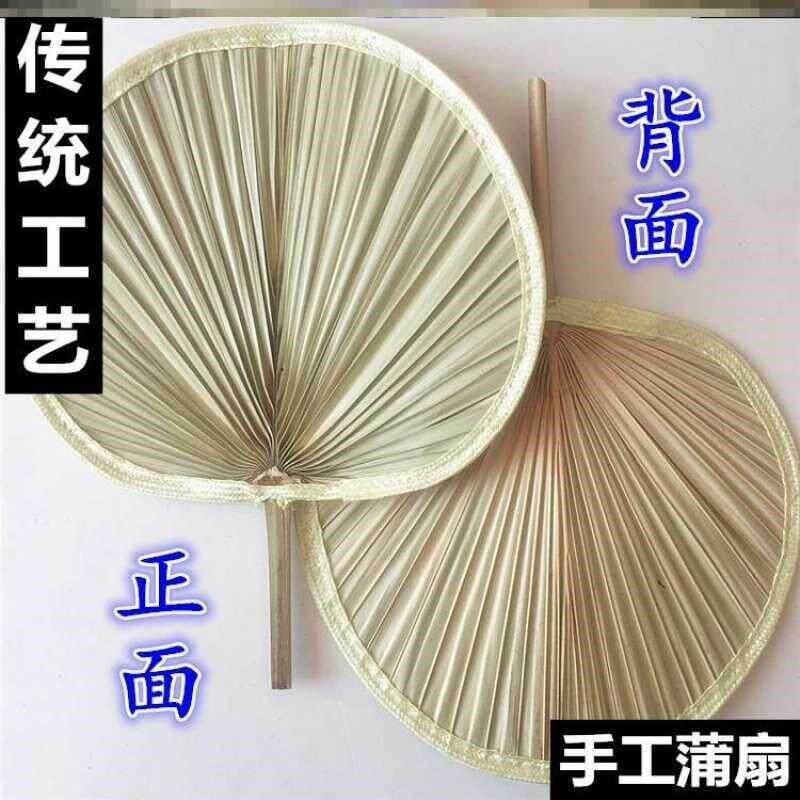 大蒲扇蒲草扇凉快驱普蒲蕉RHTrlBg8浦风铺扑埔莆扇蚊舞蹈老式小号