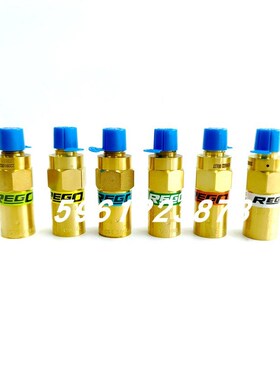 REGO美国力高PRV9432F022C安全阀 NPT1/4 1.5BAR