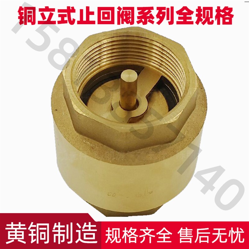 全铜加厚立式止回阀4分DN15单向阀 弹簧水表前止逆阀止回流6分1寸