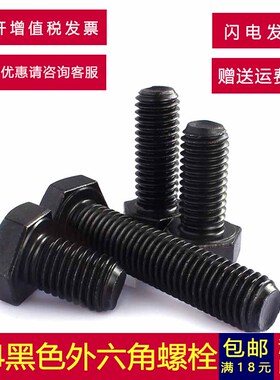 M8M10M12不锈钢304黑色外六角螺丝螺钉螺栓镀黑锌单头全牙DIN933