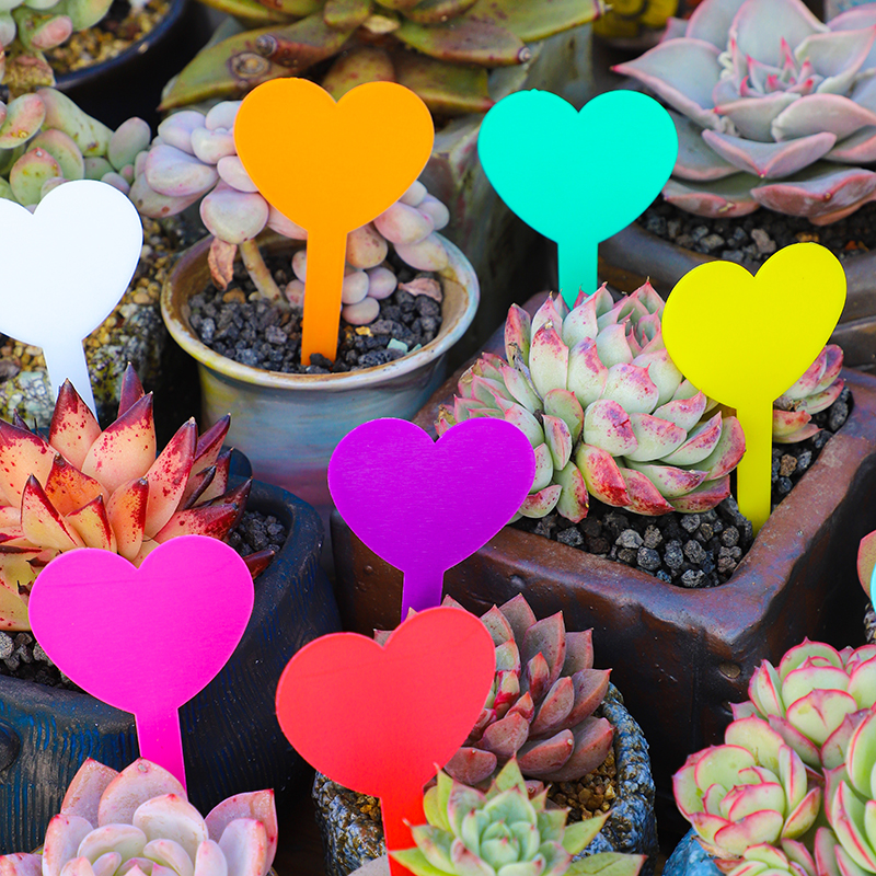 宏荣园艺多肉标签加厚爱心型兰花花卉标签多肉标识牌防水塑料插地