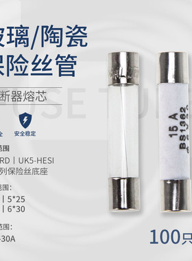 陶瓷管保险丝5x25 5*20 6x25 6*30 250V熔芯 R055玻璃管FS熔断器