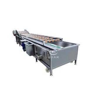 全自动油甘子清洗机气泡式 甘蓝郁金香清洗设备商用酸枣清洗机