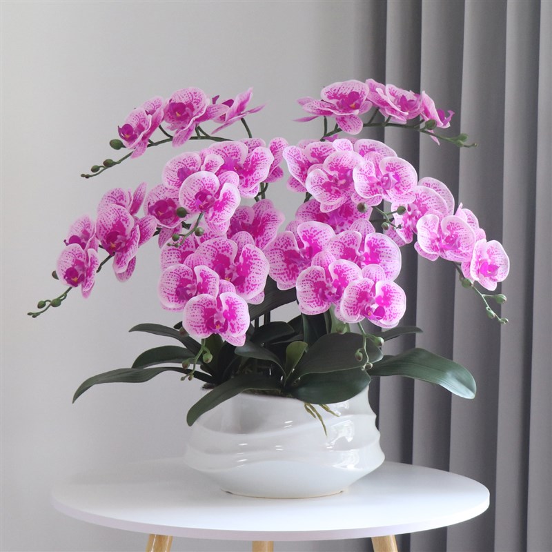 高品质蝴蝶兰仿真花假花客u厅玄关装饰花艺摆件摆设仿生花手感保