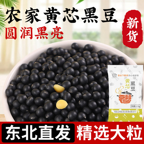东北黄芯黑豆当季新豆可发芽