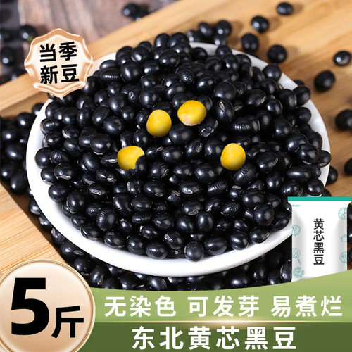 东北黄芯黑豆当季新豆可发芽