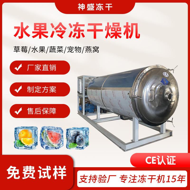 100平大型水果蔬菜冻干机草莓苹果冻干设备榴莲芒果真空干燥机
