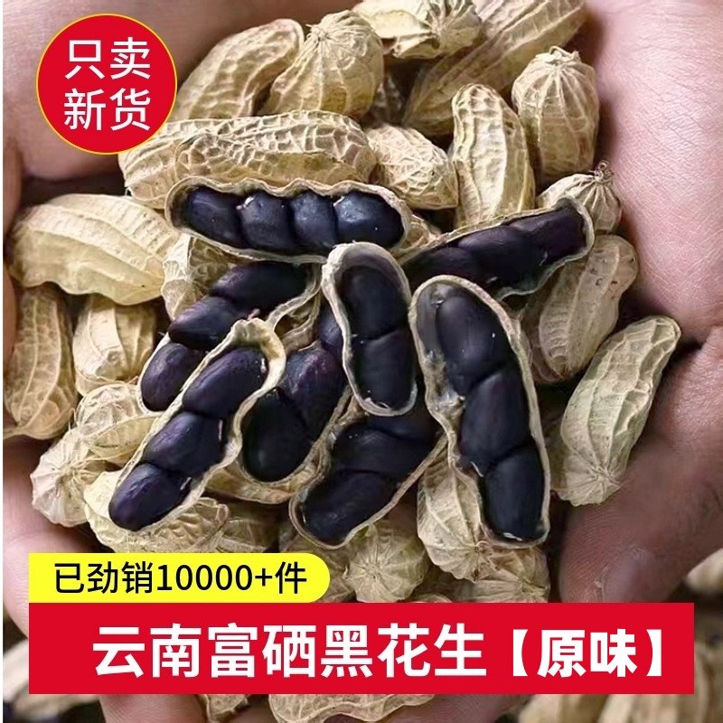 云南富硒黑花生黑花生普洱2025新货晒干黑花生种带壳黑皮花生米