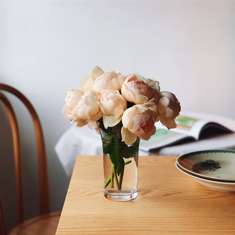 收集时光 Camus say Bouquet开口花瓶 欧月玫瑰玻璃花瓶 包邮