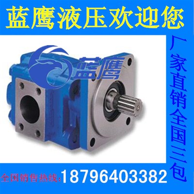 P5100-F63 F80 F100齿轮油泵M5100-F63 F80 F100齿轮马达泊姆克型