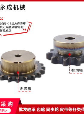 优质45钢盛天SCS单排链轮6分 60B20齿 12A20T外径132高精度高强度