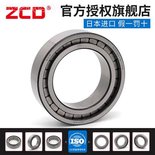 日本2ZD轴承CNCF20 203 204 205 206  207 208 209 210MKS 211RS