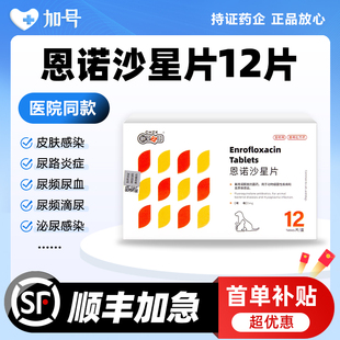 恩诺沙星片猫用泌尿系统药尿闭尿频尿血尿路感染消炎宠物利尿通