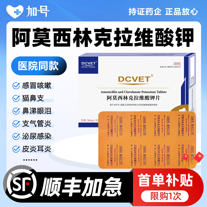 宠物阿莫西林克拉维酸钾片猫咪狗狗消炎专用感冒药猫鼻支治疗
