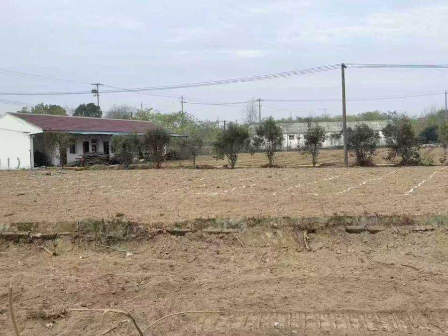 2月9日安庆管理公司无证房产(不含土地价值)、构筑物、树木等网络拍卖公告