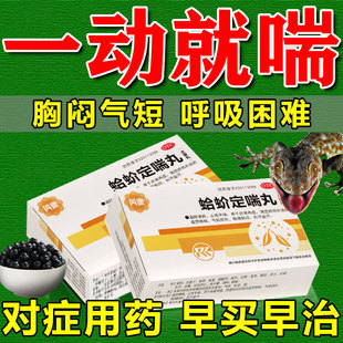 蛤蚧定喘丸北京慢性支气管哮喘同仁专用药断堂根止咳平喘特药效