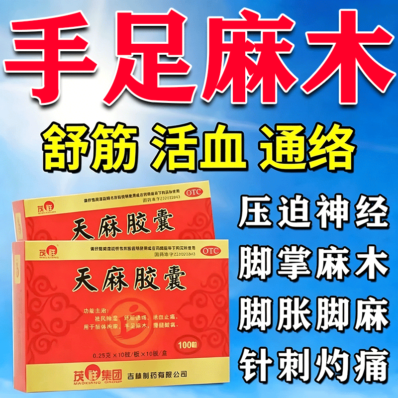 天麻胶囊手脚麻木专用药秦川通官方店正品痹胶囊改善中成药
