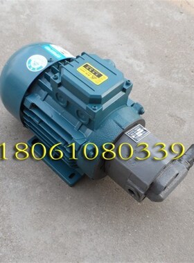 BB-B4YJZ BB-B6YJZ-1摆线齿轮油泵带安全调压阀电机组BB-B10YJZ