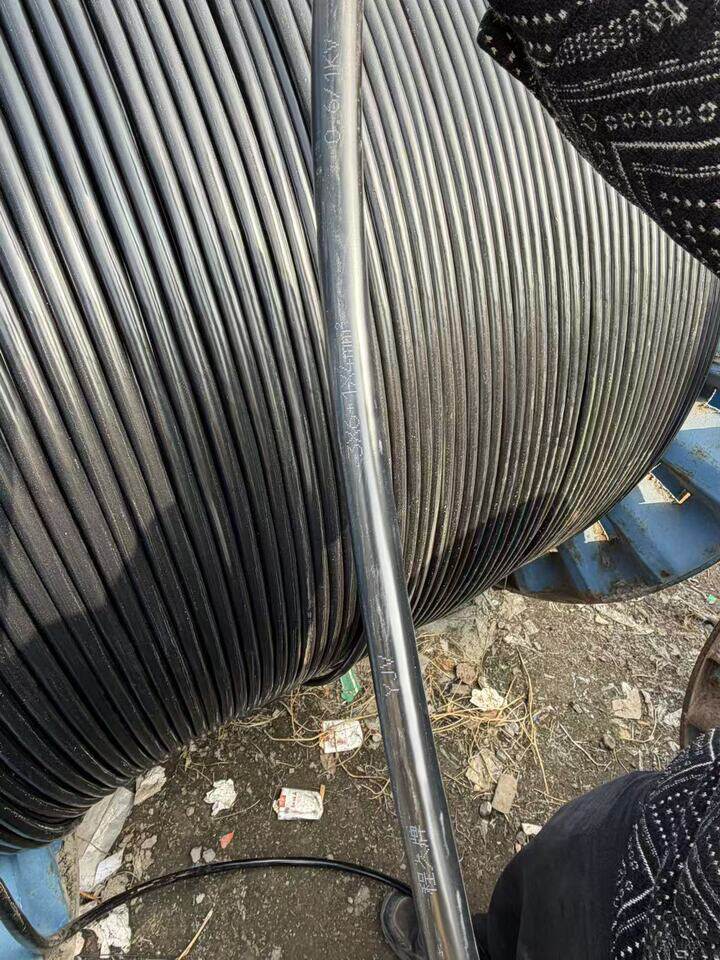 4月10日济南电力电缆YJV-型号：3×6+1×4长度：100mDL028可邮寄处置单位支持发货，运费和发货流程见详情页网络拍卖公告