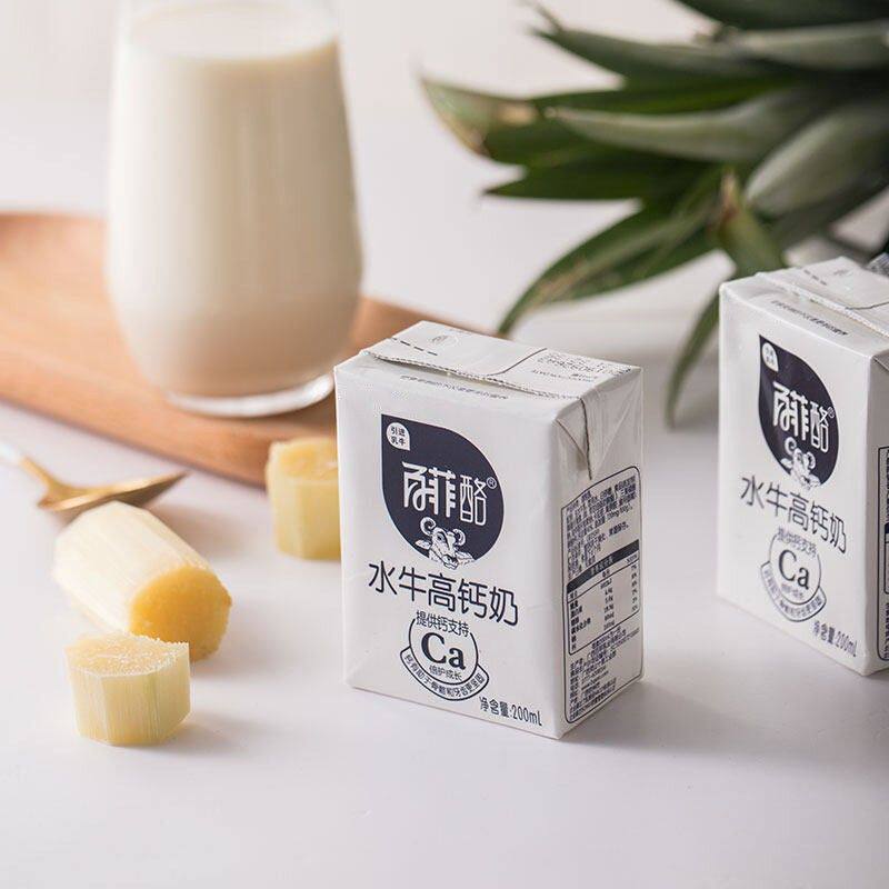 【达人专属】百菲酪高钙水牛奶调制乳200ml优质营养牛奶整箱早餐