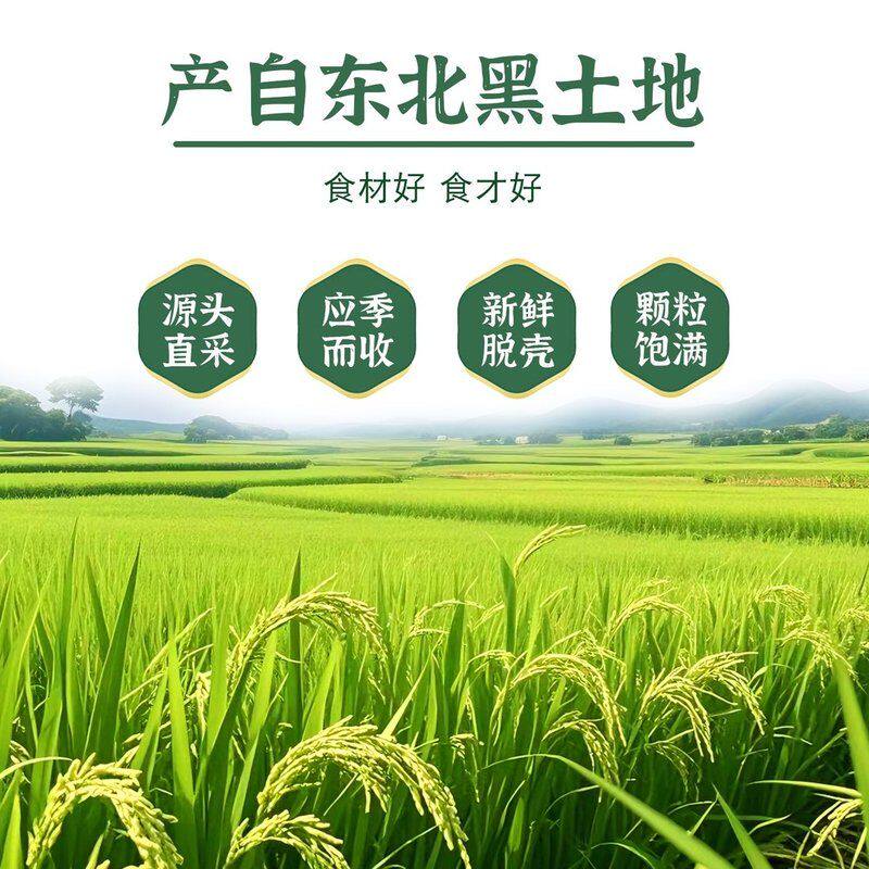 【拍5发6】东北大米珍珠米粳米圆粒香米家用煮饭煲粥稻香米当季米