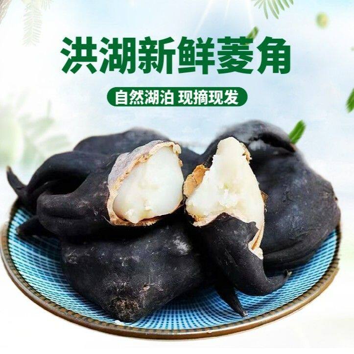 洪湖老菱角湖北特产新鲜现采清香粉糯青皮老菱角1-5斤装包邮