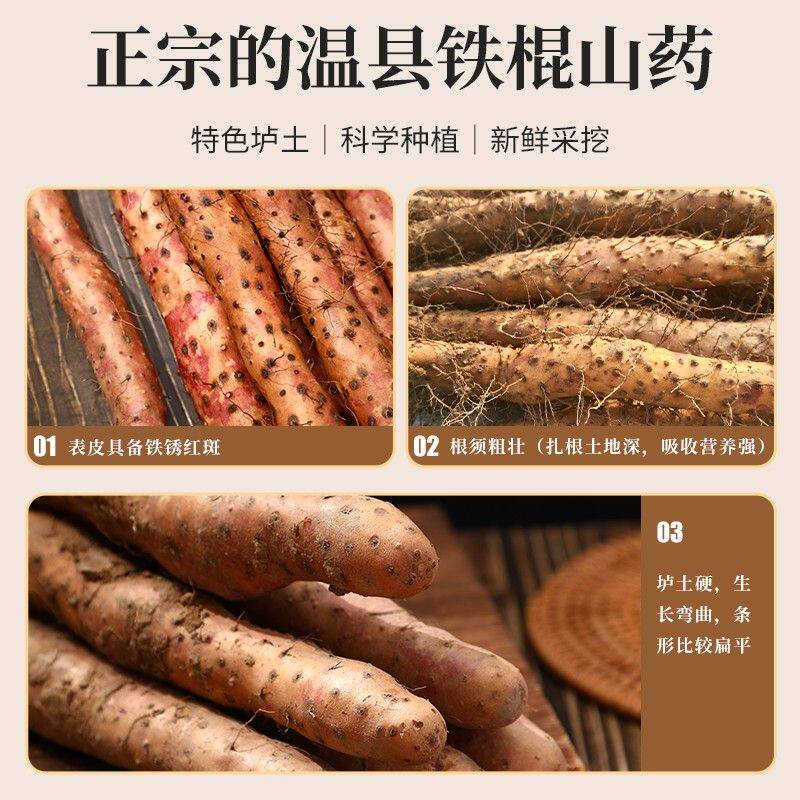 垆土西施河南焦作温县垆土铁棍山药营养农产品怀山药3斤5斤6斤装