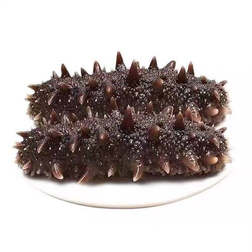 甜蜜海岸sweet coast新鲜速冻精品海参营养劲道开水即泡即食6-9头
