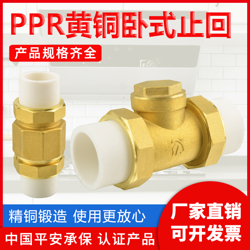 PPR水管止回阀双活接单向阀自来水管水表逆止阀25铜卧式立式4分20