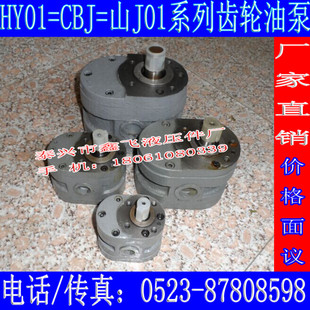 25X25 35X25 100X25平面磨床齿轮油泵W厂O1 山J01