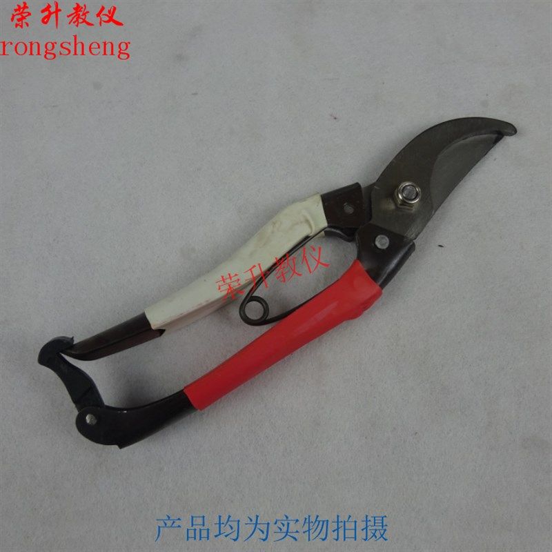 枝剪剪刀园丁剪花枝修剪树枝剪刀果枝剪修花剪刀修枝剪刀教学仪器