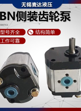 齿轮泵CBN-F310L/F306L/F320L/F314L/F316L农用车拖拉机液压油泵