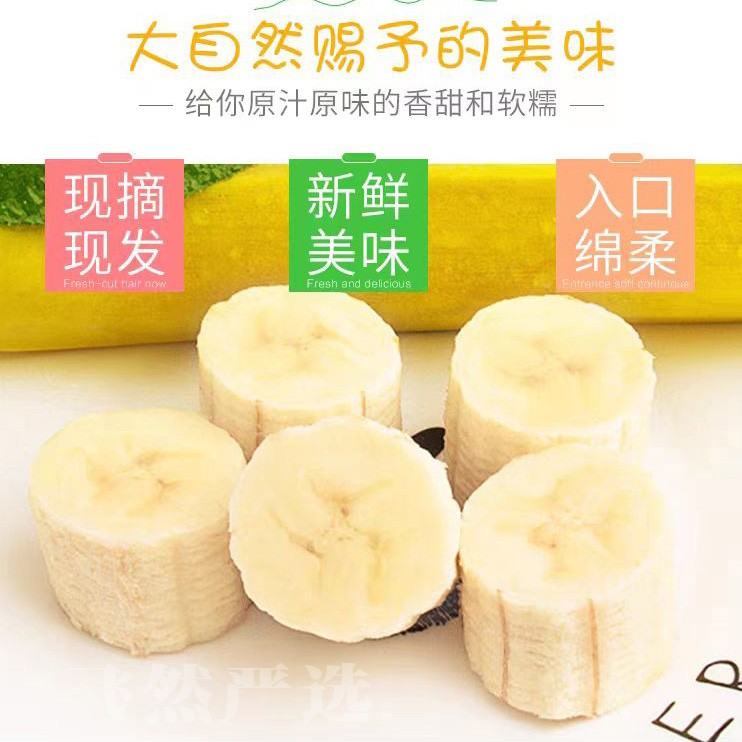 广西高山甜香蕉香甜软糯独立包装1/3/5斤芝麻蕉自然成熟水果