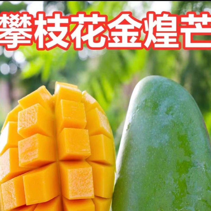 【果本宜】正宗攀枝花精品果农高山晚熟应季青皮金煌芒商超货优选