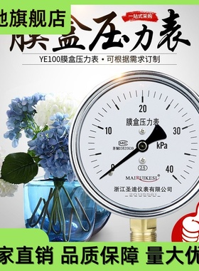 YE100燃烧机气压表0-25KPa 40KPa 60KPa 16KPaM20*1.5膜盒压力表