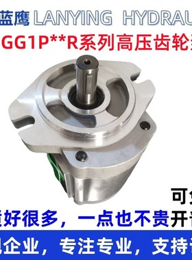 2GG1P08R 2GG1P11R 2GG1P16R 2GG1P18R 2GG1P20R 2GG1P22R齿轮泵