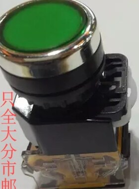 优质长江款LA38-11复位型203/209B绿色11BN平头按钮开关22mm红色