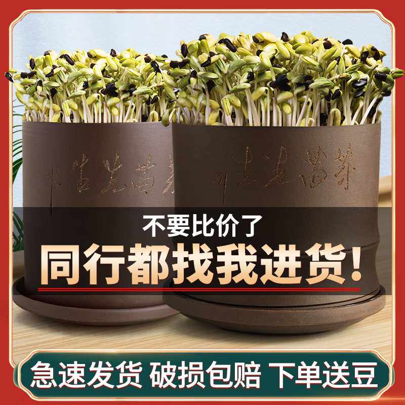 紫砂家用豆芽机豆芽罐桶发豆芽神器豆芽菜花生芽发芽盆豆芽培育器