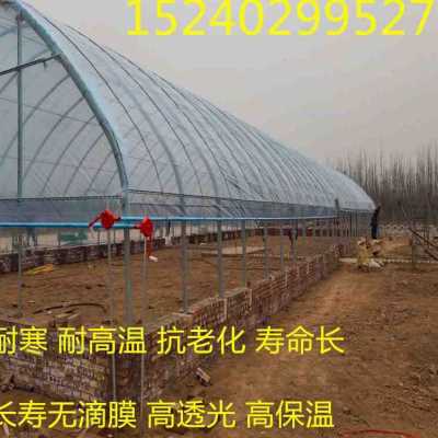 新品膜养膜O透薄抗n化P塑料膜滴加厚大棚膜保温明膜棚老殖无q黑白